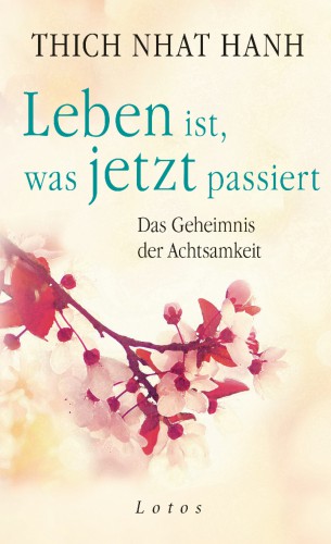 Leben ist, was jetzt passiert Thich Nhat Hanh | yoga guide Tipp Leben ist, was jetzt passiert Thich Nhat Hanh | yoga guide Tipp