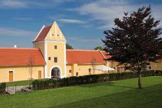 Yoga und Laufen  im Waldviertel | Yogaguide
