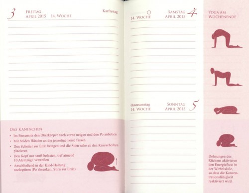 Yogakalender2015_Carrasco_yogaguide
