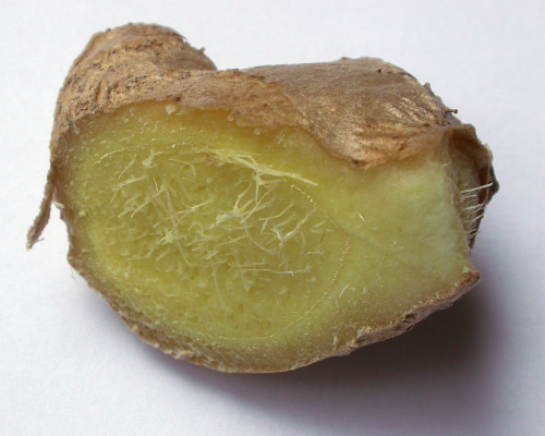 Ingwer Arzneimittelpflanze 2026 Foto Klostermedizin.de