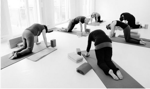 Yogaportrait Tanja Hoesl von TriYoga Center Vienna | yogaguide.at Yoga Guide Yogaportrait Tanja Hoesl von TriYoga Center Vienna