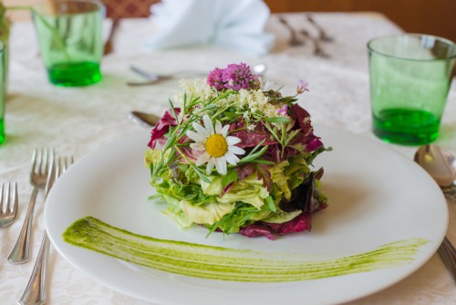 Gesundes Wohlfühlen Rohrmooserhof Schladming | yogaguide 