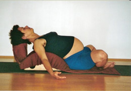 Prana Yoga Studio Wien Schnupperwoche | yogaguide Prana Yoga Studio Wien Schnupperwoche | yogaguide
