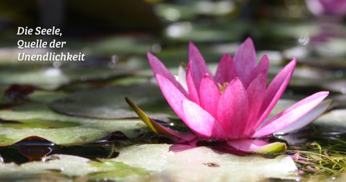 Zum Erfahren allumfassender Schönheit | yogaguide Zum Erfahren allumfassender Schönheit | yogaguide