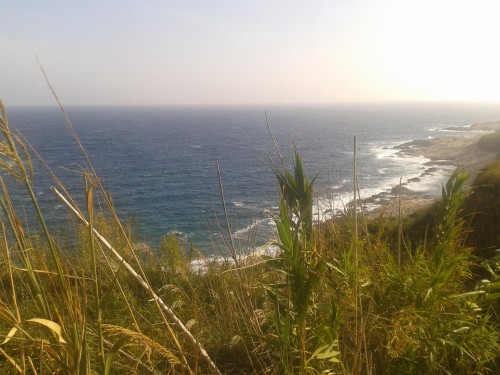 YogaRetreat in Kroatien | yogaguide News YogaRetreat in Kroatien | yogaguide News