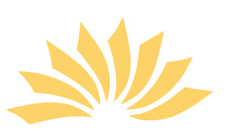 VedaVital | Businessworkshop Ich-Marke Leben |yogaguide VedaVital | Businessworkshop Ich-Marke Leben |yogaguide