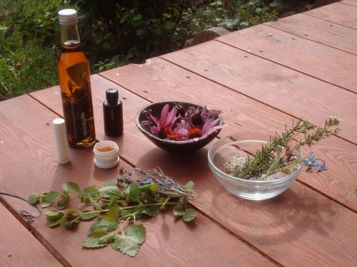 Kraeuterworkshop mit Theresa Stoeckl | YogaGuide