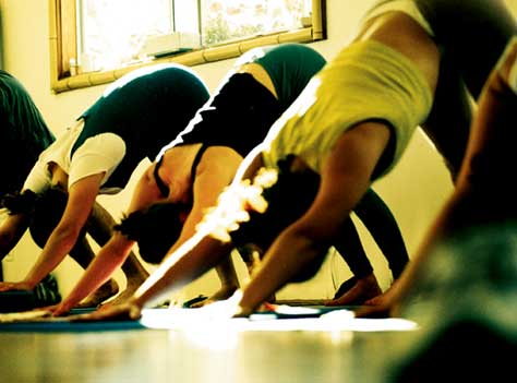 Ashtanga Yoga Workshop mit Natasa Cvetkovic | Yoga Guide Ashtanga Yogaworkshop mit Natasa Cvetkovic | Yoga Guide