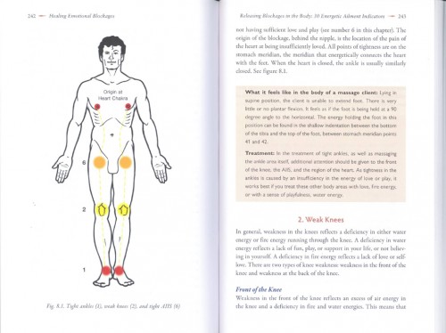 Robert Henderson Emotion Healling Energy Body | yoga guide