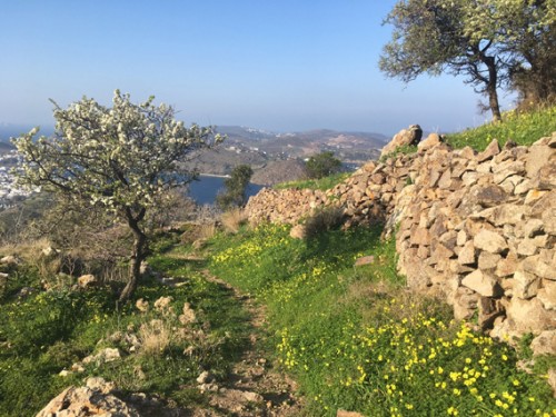 Revitalising Spring Retreat Patmos Anastasia| yogaguide